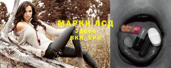 гидра Арсеньев
