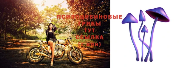 мяу мяу кристалл Покачи